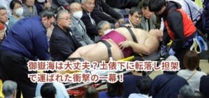 【動画】御嶽海は大丈夫?土俵下に転落し担架で運ばれた衝撃の一幕!