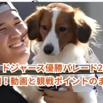 【動画】ドジャース優勝パレード2024の盛大な瞬間!動画と観戦ポイントのまとめ!